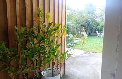 La KLEMALINE - Foto 20