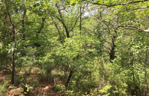 Casa Rural Finca De Musgo - Foto 39