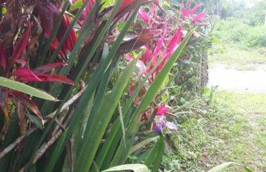 Casa térrea - Foto 15