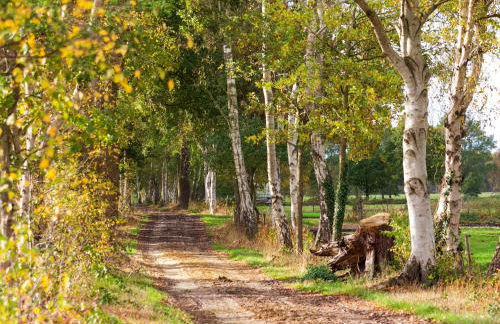 Ferienhaus Clara - Foto 31