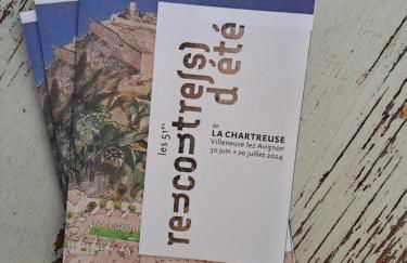 Loft avec patio Villeneuve les Avignon - Foto 57