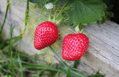 Casa de Tapadeiro - Foto 49