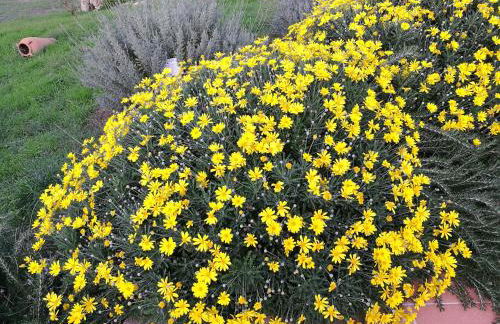 Country House Vignola Mare - Photo 36