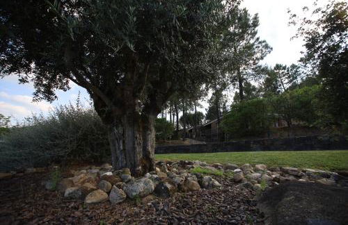 Apartamentos Rurais - Casas do Lagar - Foto 10