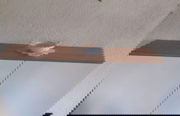 Holiday Apartment Schupp - Foto 1