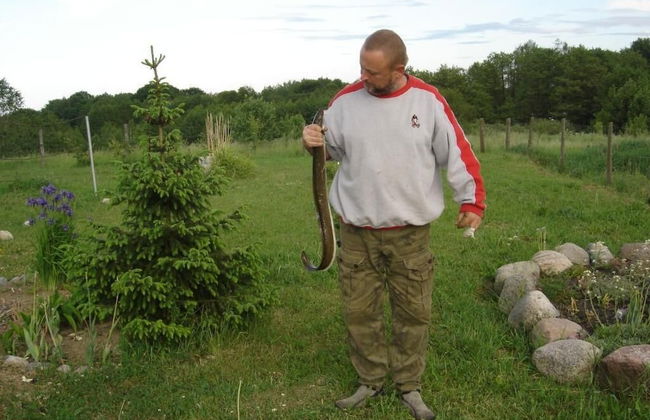 Agroturystyka u przyjaciol Soni - Foto 45