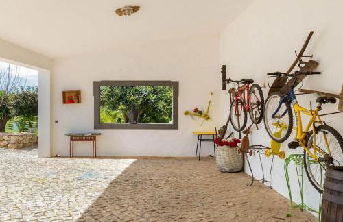 Monte Velho - Foto 17