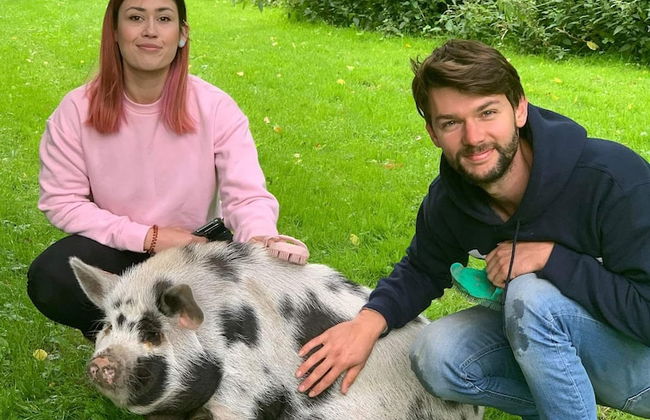 Starry Meadow - Foto 22