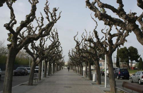 Comfort home Calafell - Foto 28