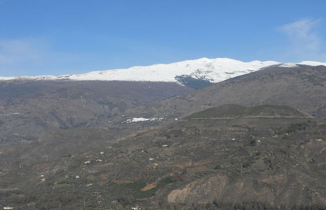 Casas Amaro - Foto 27