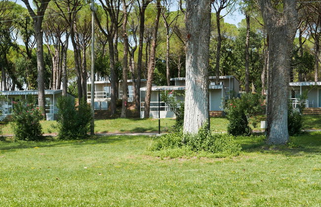 Adria Home (GDO203) - Foto 43