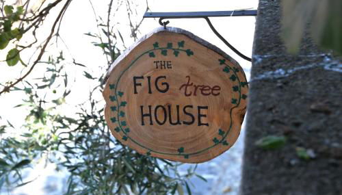 The fig tree house - Foto 2