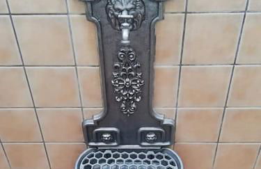 Caño de Hierro - Foto 9