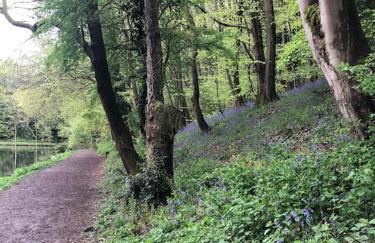 Escape To The Country @ Bron Offa Bach - Foto 37