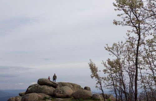 La Grulla Dorada - Foto 48