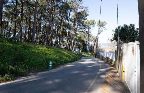 SAMIL PLAYA SUR - Foto 21