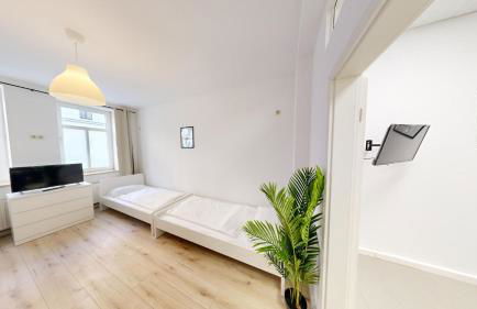 Frisch renovierte Wohnung im Leipziger Osten - Foto 8