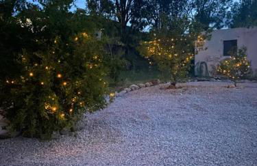 Thalia's House - Foto 34