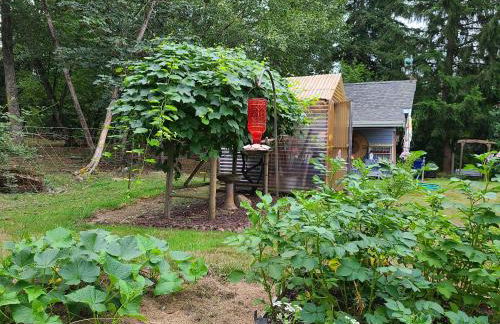 Mt Rainier Way Bedroom with Private Full Bath - Foto 25