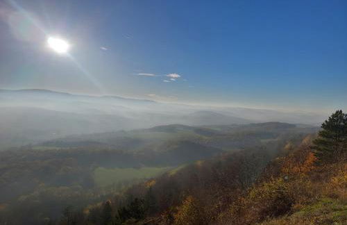 Ferienhaus Käthe - Foto 31
