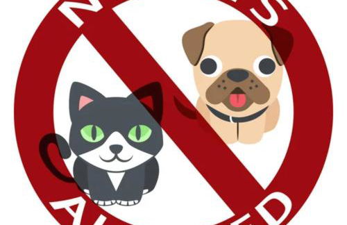 Appartement Premium 4 Stars - Antigone - Foto 18