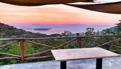 La Casetta nel Bosco - Foto 2, Garden