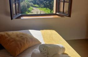 Maison de Caractère située au coeur des domaines viticoles de BANDOL - Foto 28