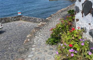 Casa de São João - Foto 46