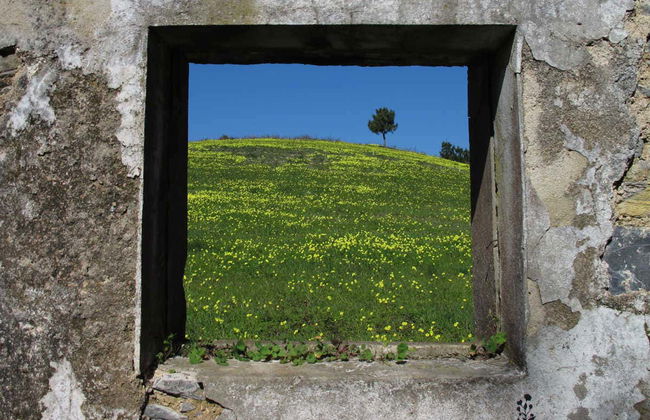 Tour en bicicleta por el Parque Natural Sintra-Cascais - Foto 1