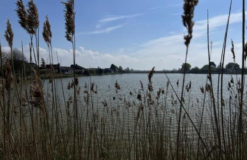 Grommy`s 2 Eckwarden - Foto 37