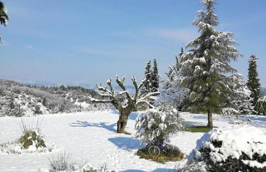 Montloubier - Photo 15