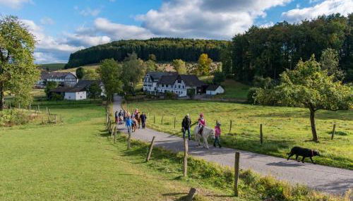 Ferienhof Schade - Foto 4