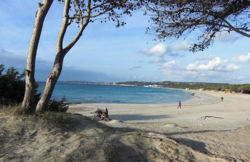 Terreno Ro-Bi-Li Ferienwohnung - Foto 28