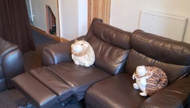 The Comfy House - Foto 4