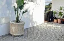 Green Ville - Photo 5