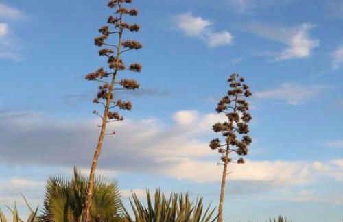 Cortijo Los Garridos - 12 huéspedes - Foto 40