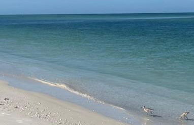 Lover's Key Beach Club by Check-In Vacation Rentals - Photo 33