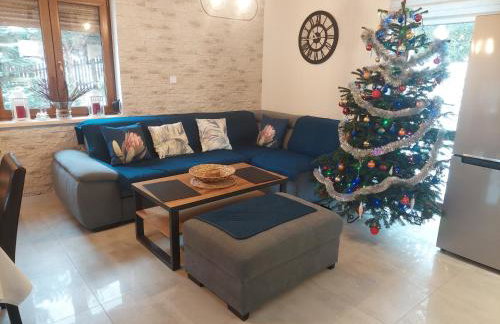 Zielony Zakątek 2 Sosnówka - Foto 19