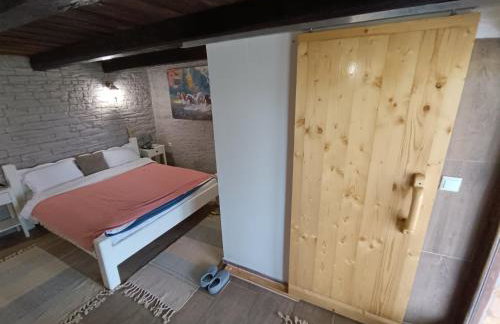 Šumski san - Foto 19