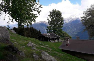 Baita Martin da Fist - Foto 35