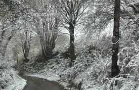 Cosy riverside property - Photo 11