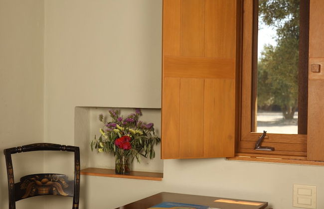 Alma Liebre Viñedos del Valle - Foto 6