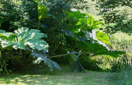 Ty Gan y Mor - Foto 50