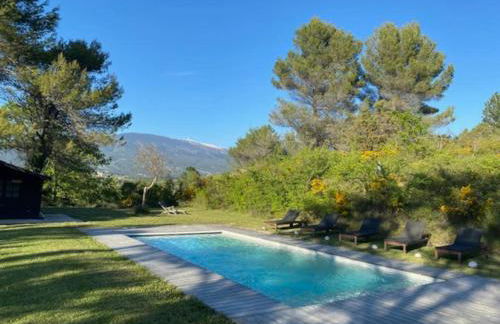 Mazet avec piscine, vue Ventoux - Foto 6