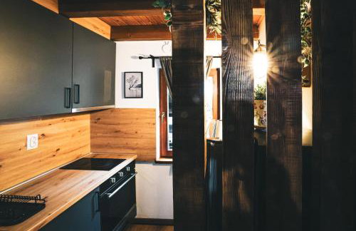 WoodenHouse with two Apartments - Foto 20