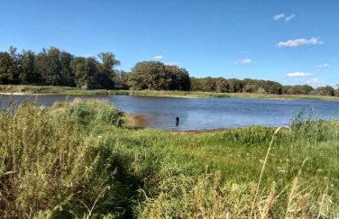 Agroturystyka Zaborski Sad - Foto 17