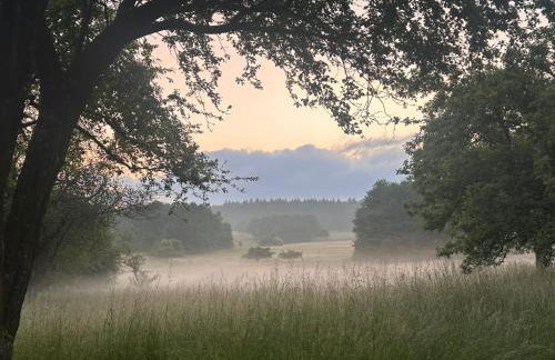 Ferienwohnung am Wald - Photo 15