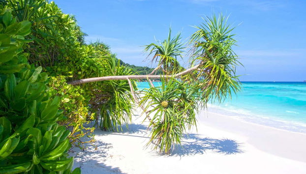 Paesaggi delle isole Similan