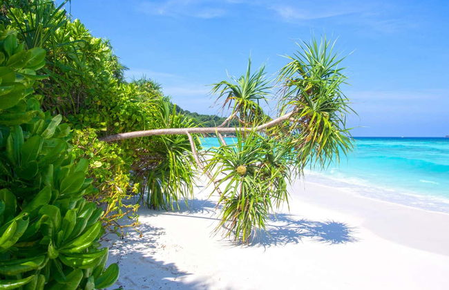 Tour in Thalang - Foto 3