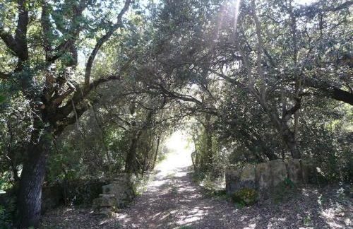 Finca SAlzinar - Foto 35